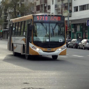 Cómo funcionará el servicio de transporte público este domingo