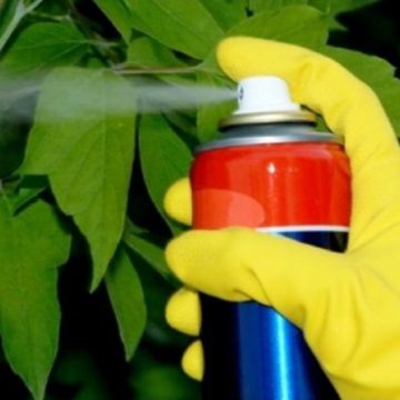 La Anmat ordenó el retiro de cuatro insecticidas de primera marca