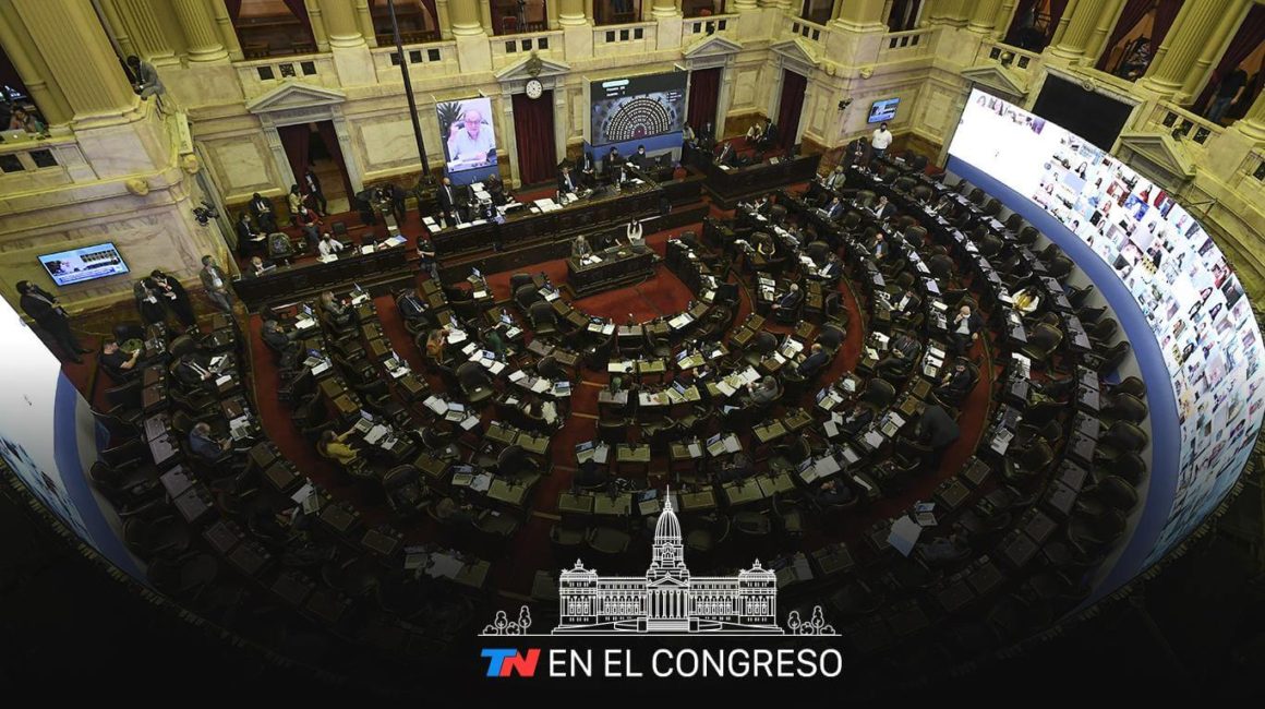 Diputados dio media sanción al proyecto de exención del Impuesto a las Ganancias para el personal de salud y de seguridad