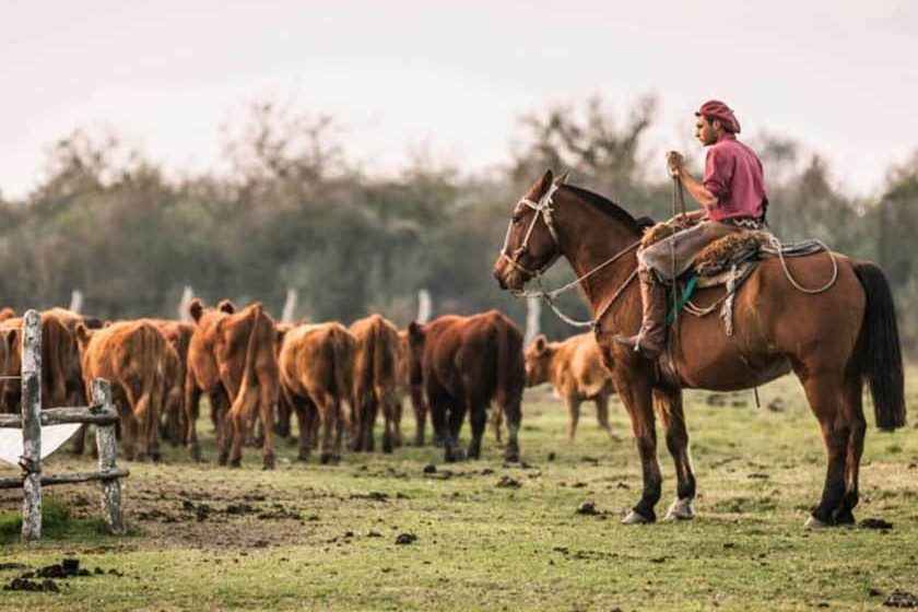 Trata en el campo: le pagaban 1.000 por semana y le descontaban el gas