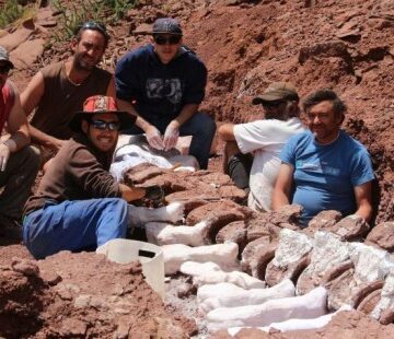 En búsqueda del mayor titanosaurio conocido en la Patagonia argentina