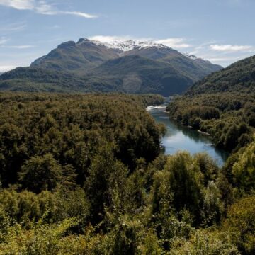 Argentina obtiene 82 millones de dólares para proteger los bosques nativos