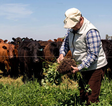 Inauguran una carnicería agroecológica, con precios populares y producción sana