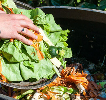 Compost: cómo transformar residuos orgánicos domiciliarios en abono