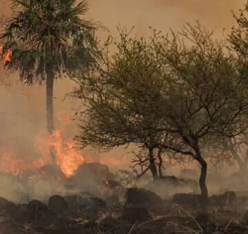 Arde Corrientes: el desastre ecológico y social que se pudo evitar