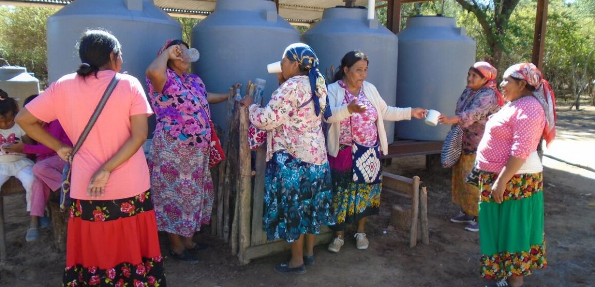 Chaco argentino: un fallo a favor del ambiente busca que indígenas y criollos vivan mejor