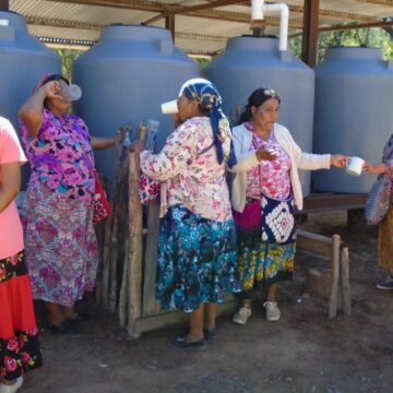 Chaco argentino: un fallo a favor del ambiente busca que indígenas y criollos vivan mejor