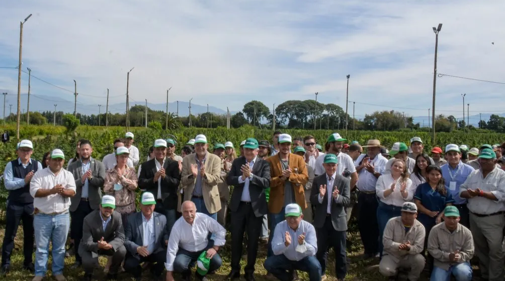 Jujuy: principal productor de cannabis medicinal en América Latina