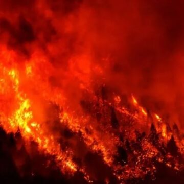 Incendios en la Patagonia: evalúan los posibles efectos del cambio climático