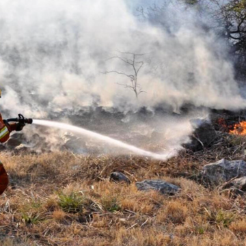 Hay incendios forestales en Corrientes, Entre Ríos, San Luis y Chubut