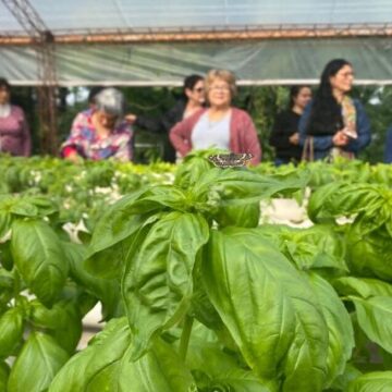 Especialistas de Santa Fe desarrollan insumos ecológicos para la producción agropecuaria