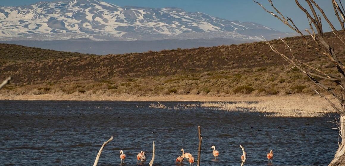 Áreas protegidas: por qué se convirtieron en otro blanco expuesto a posibles ataques de la Argentina liberal