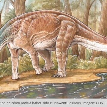 Científicos del CONICET descubrieron una nueva especie de dinosaurio titanosaurio