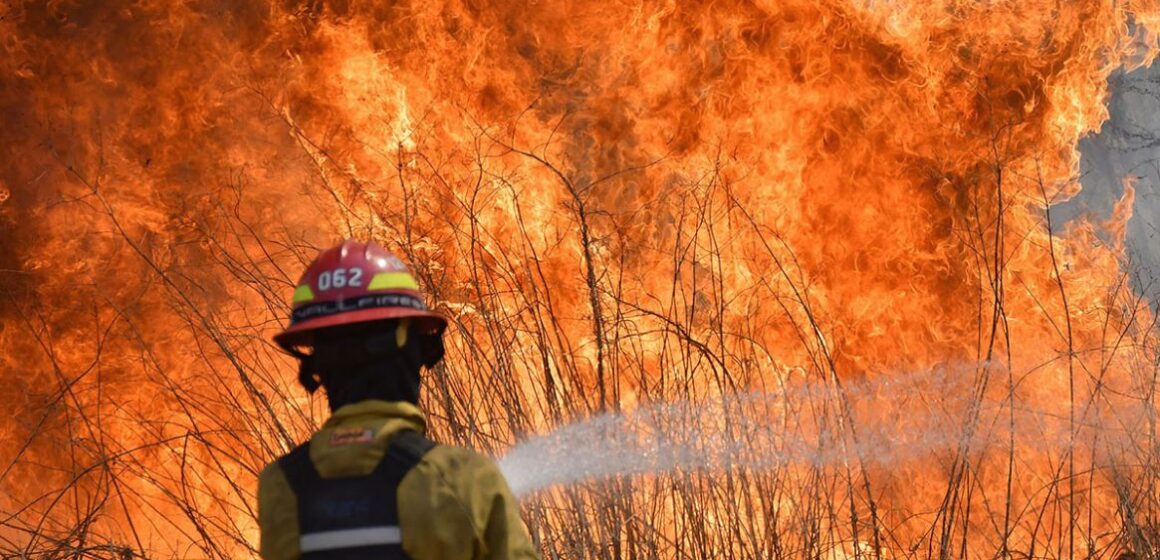 Despidos de guardaparques y sin Plan de Manejo del Fuego: llega el verano y los Parques Nacionales están a la deriva